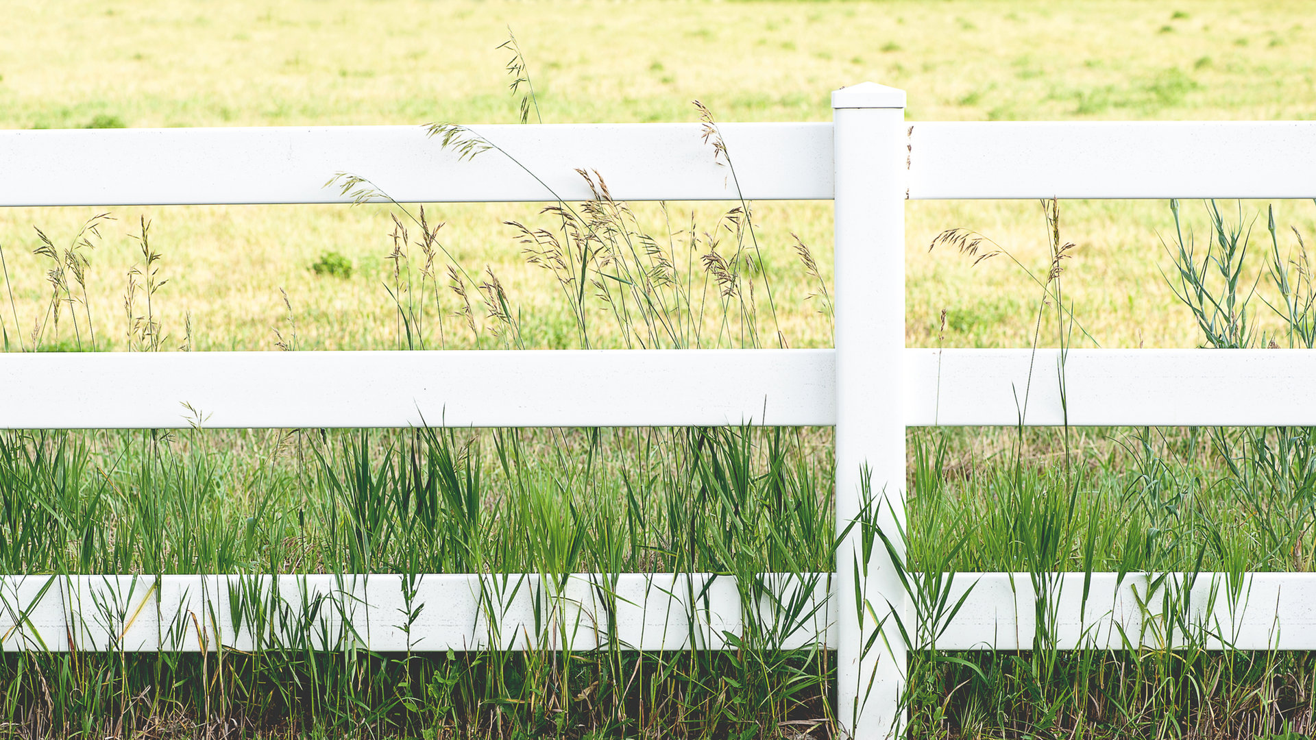 Completed white vinyl fence